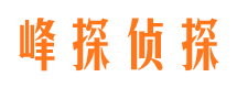 华池市调查公司